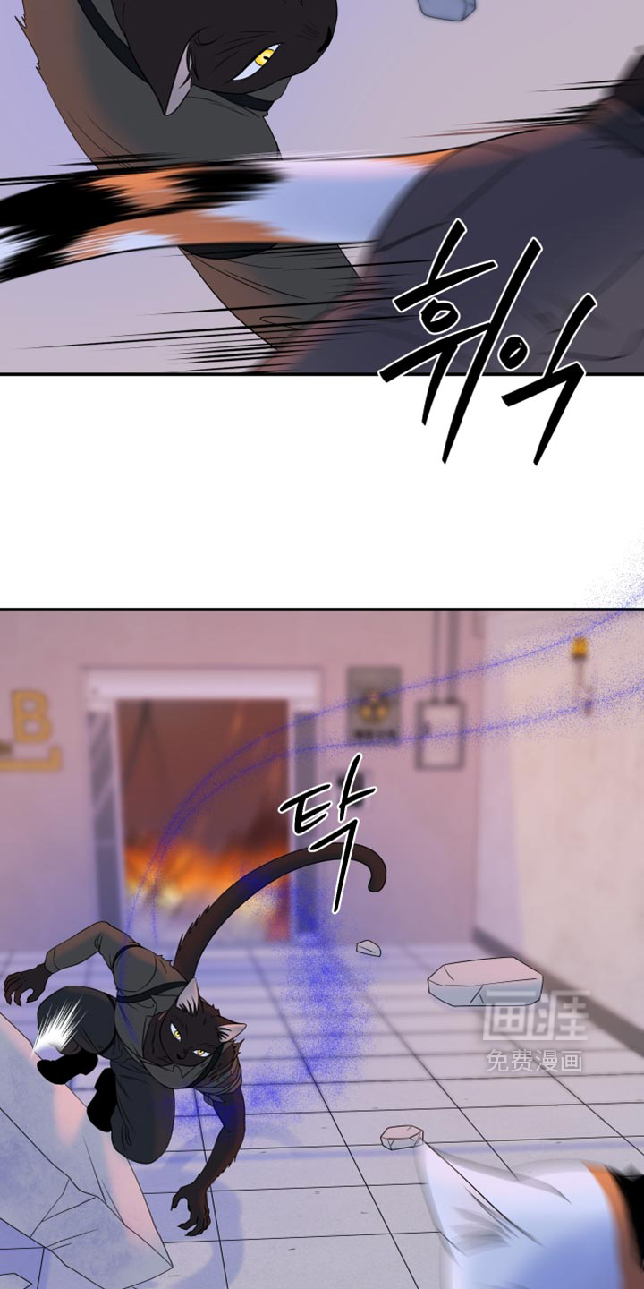 第209话3