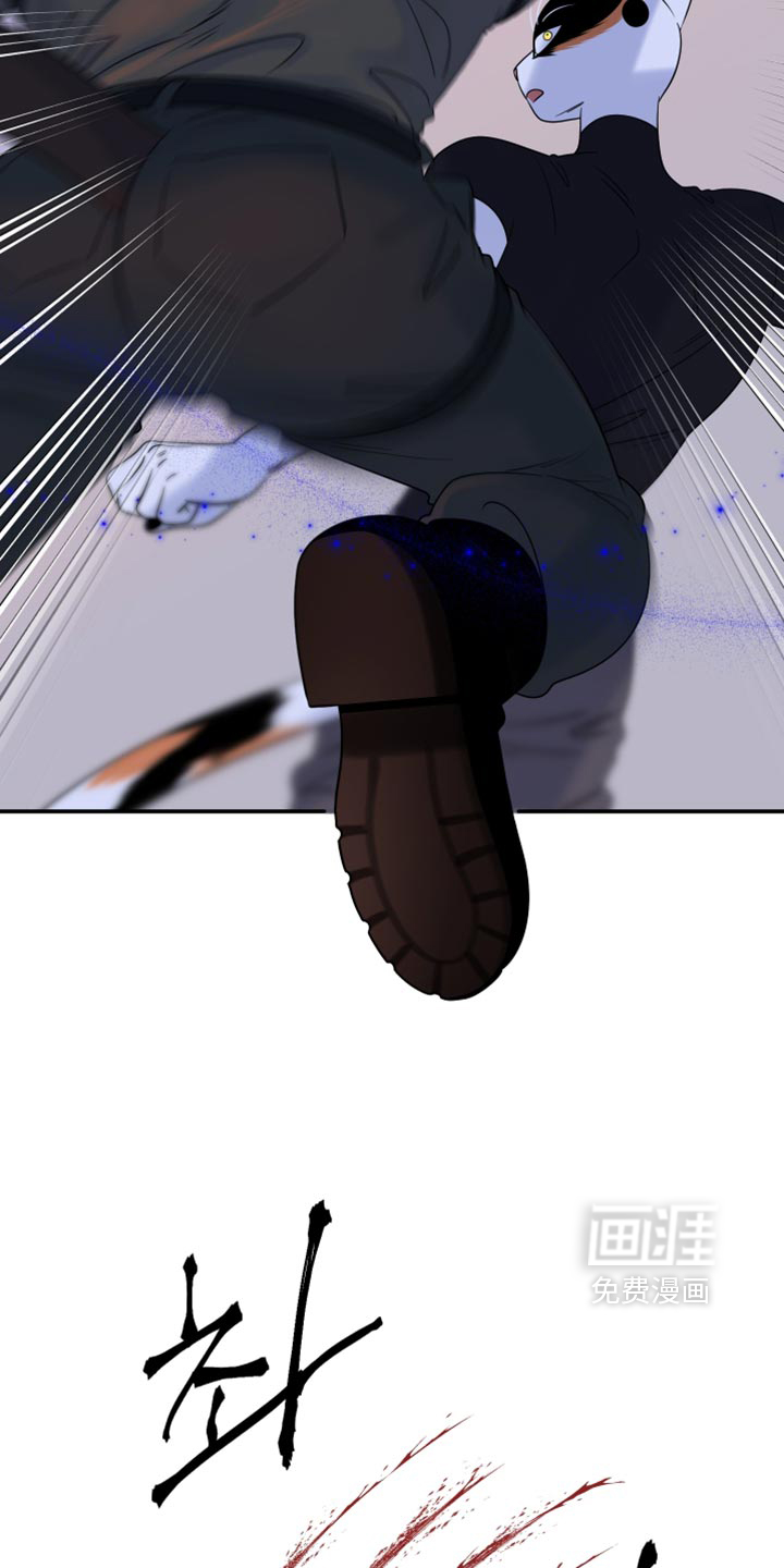 第209话5