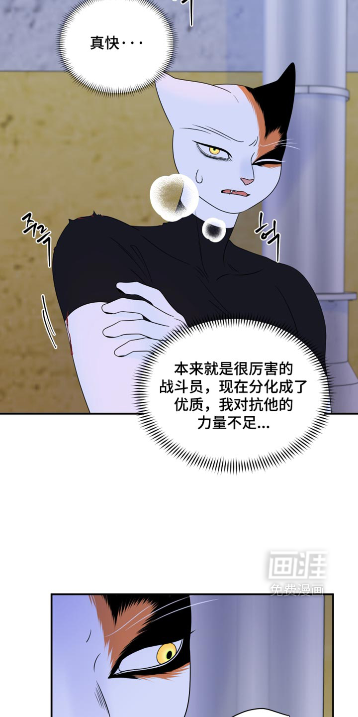 第209话8