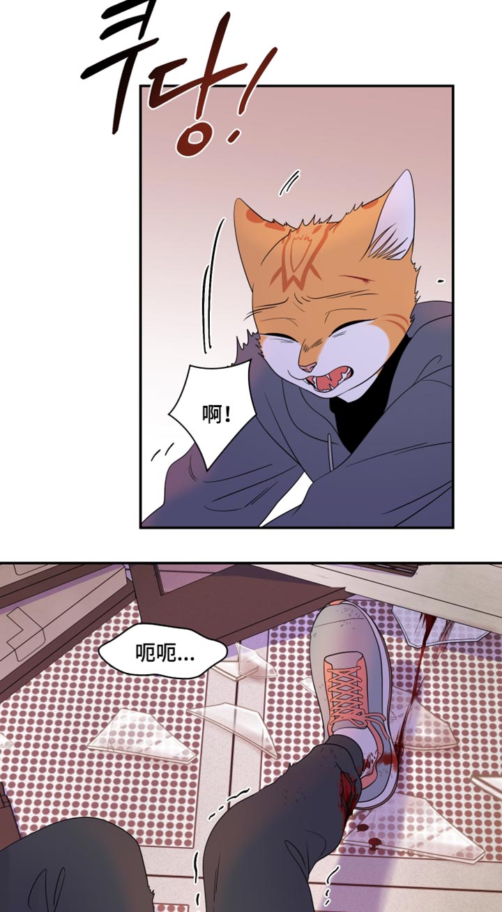 第209话17