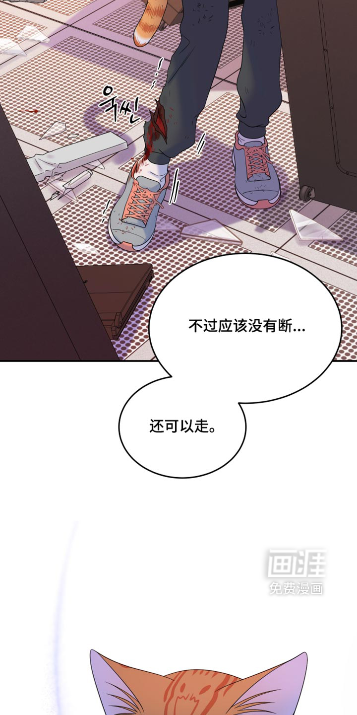 第209话19