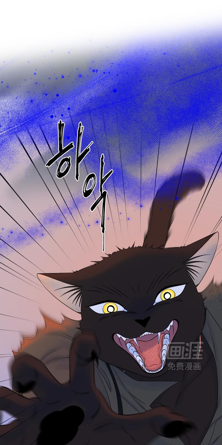 第209话0