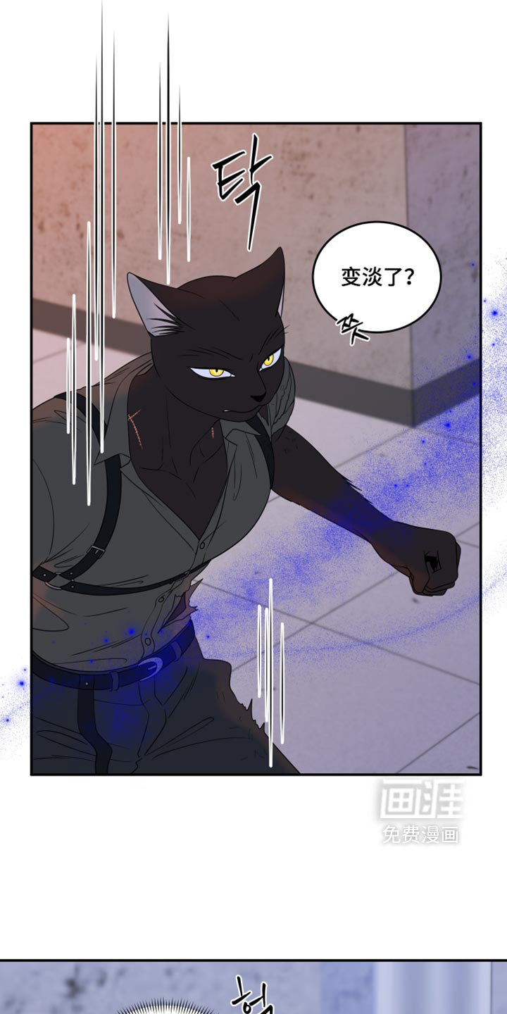 第209话7