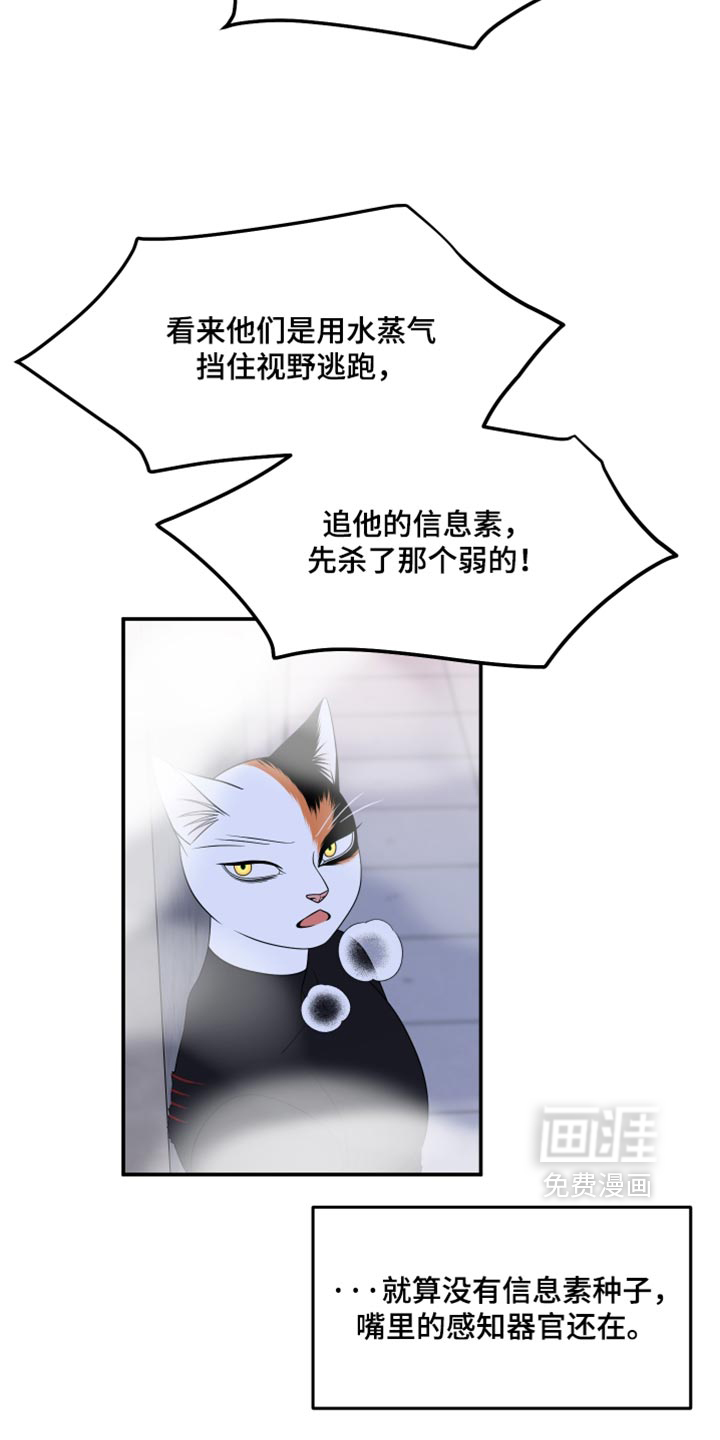 第209话13