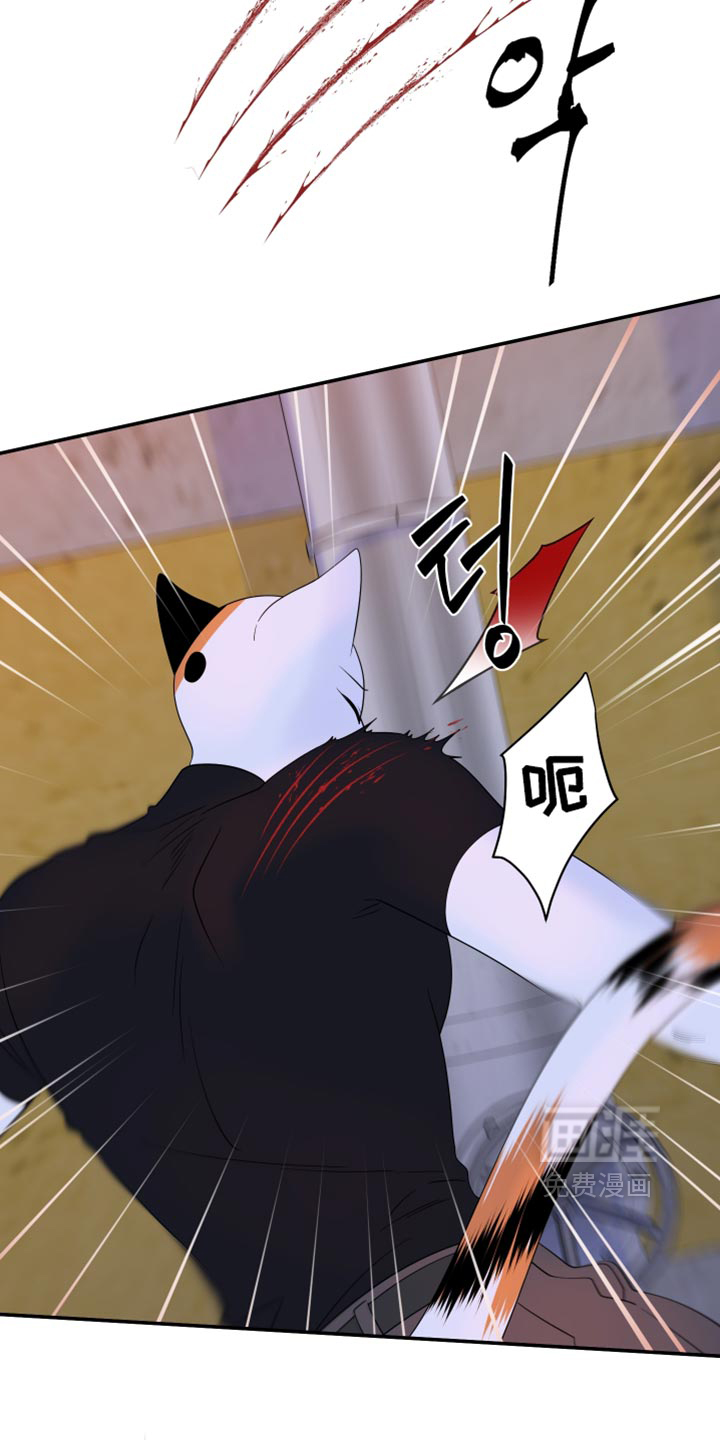 第209话6