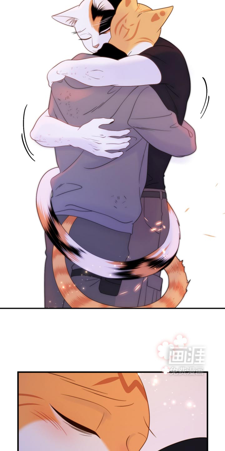 第209话31