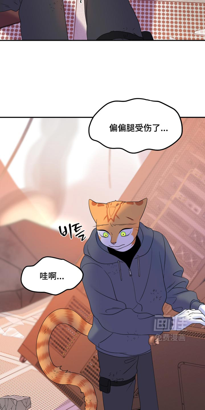 第209话18