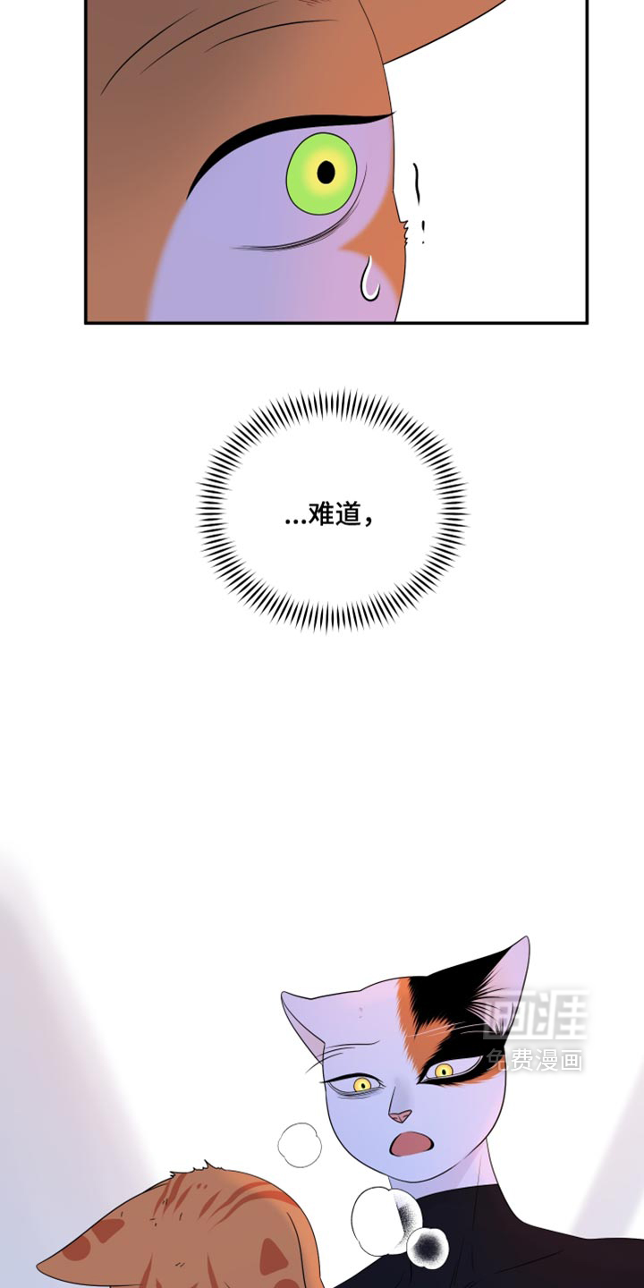 第209话21