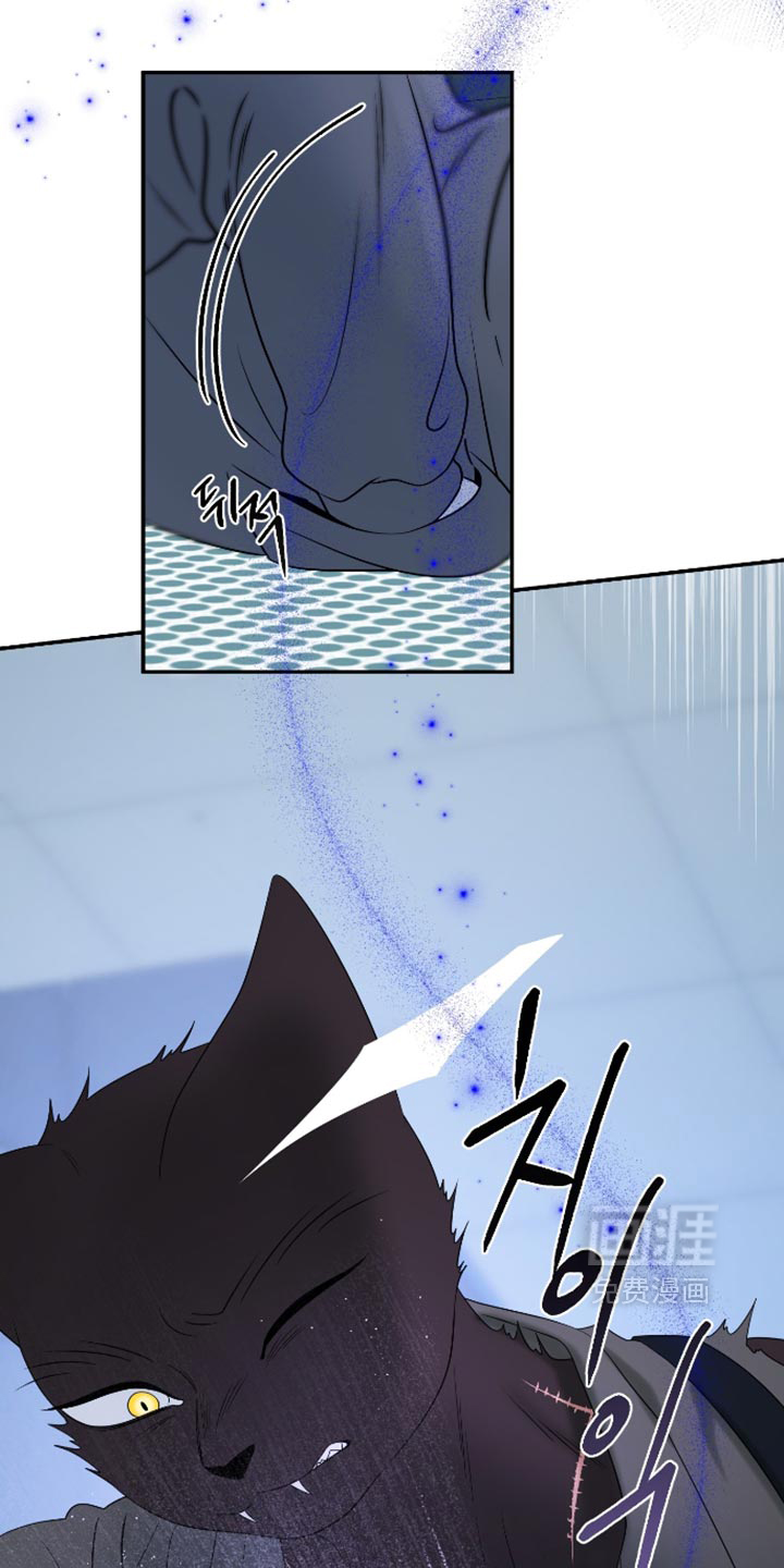 第208话3