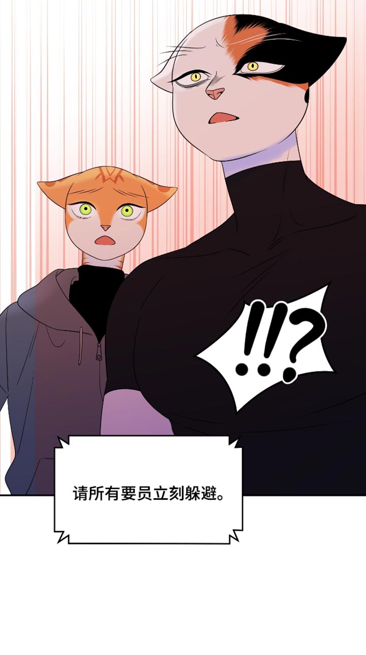 第208话19