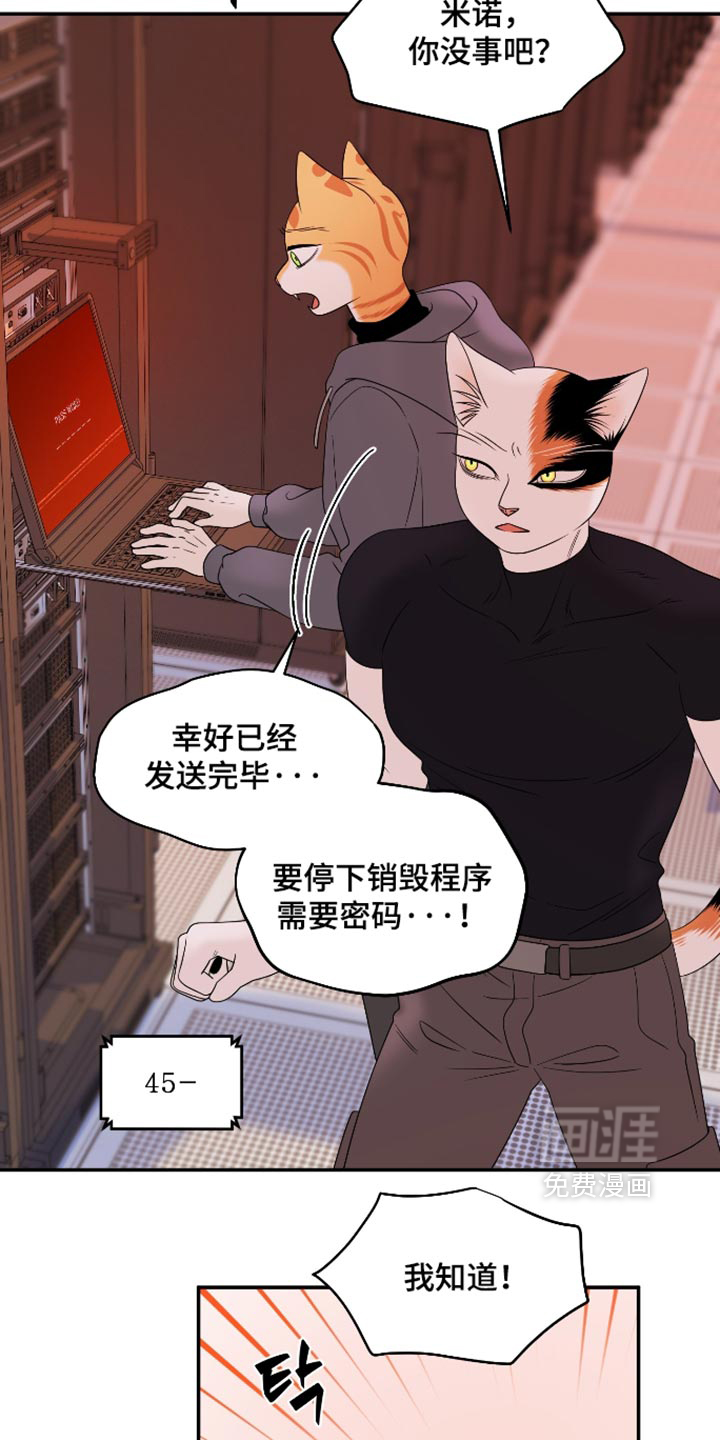 第208话17