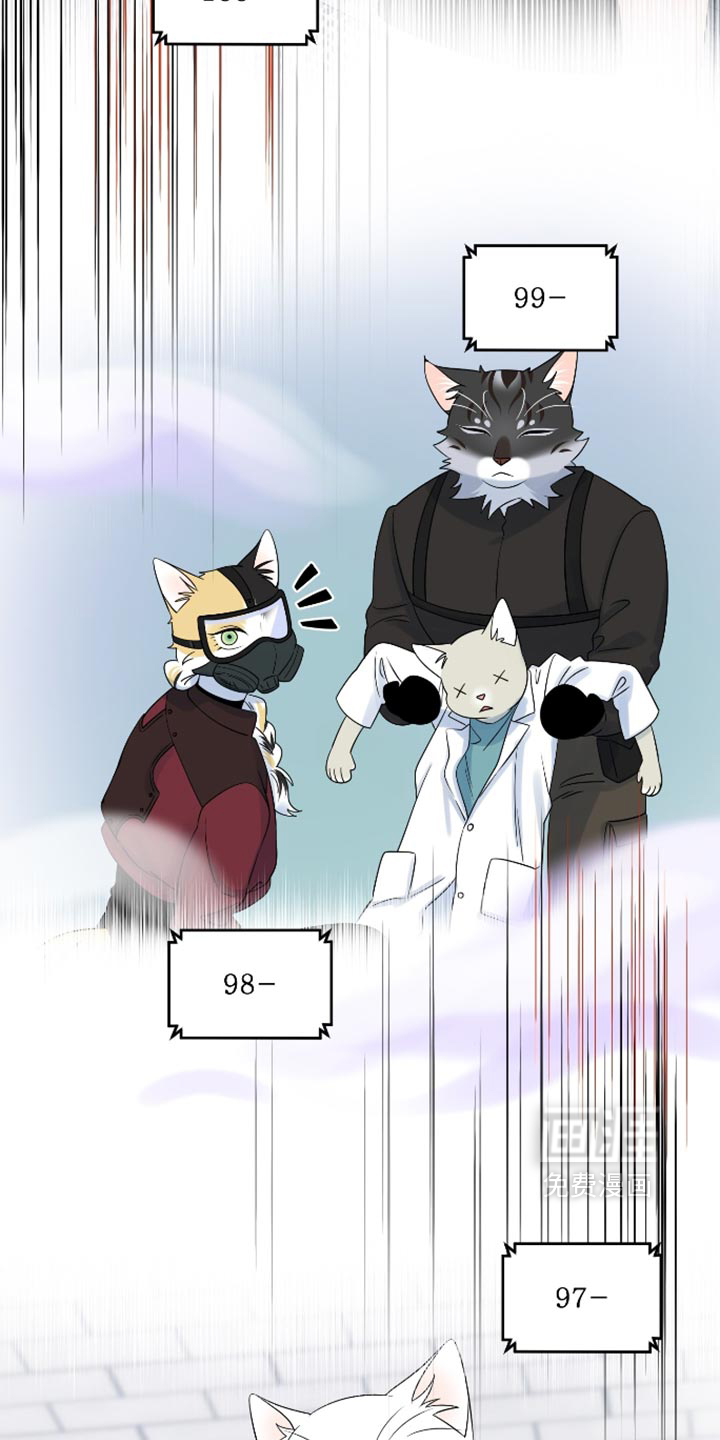 第208话11