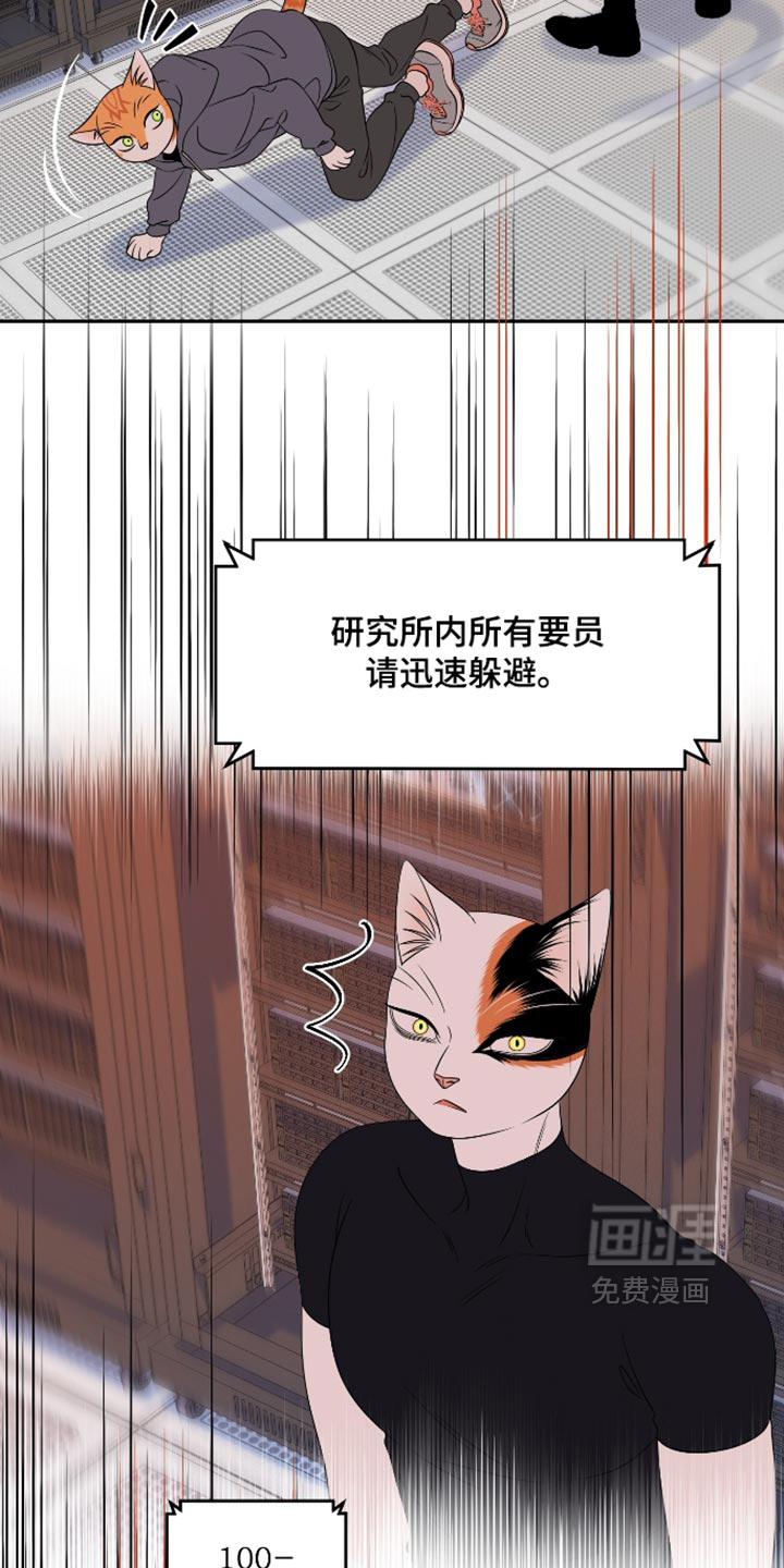 第208话10