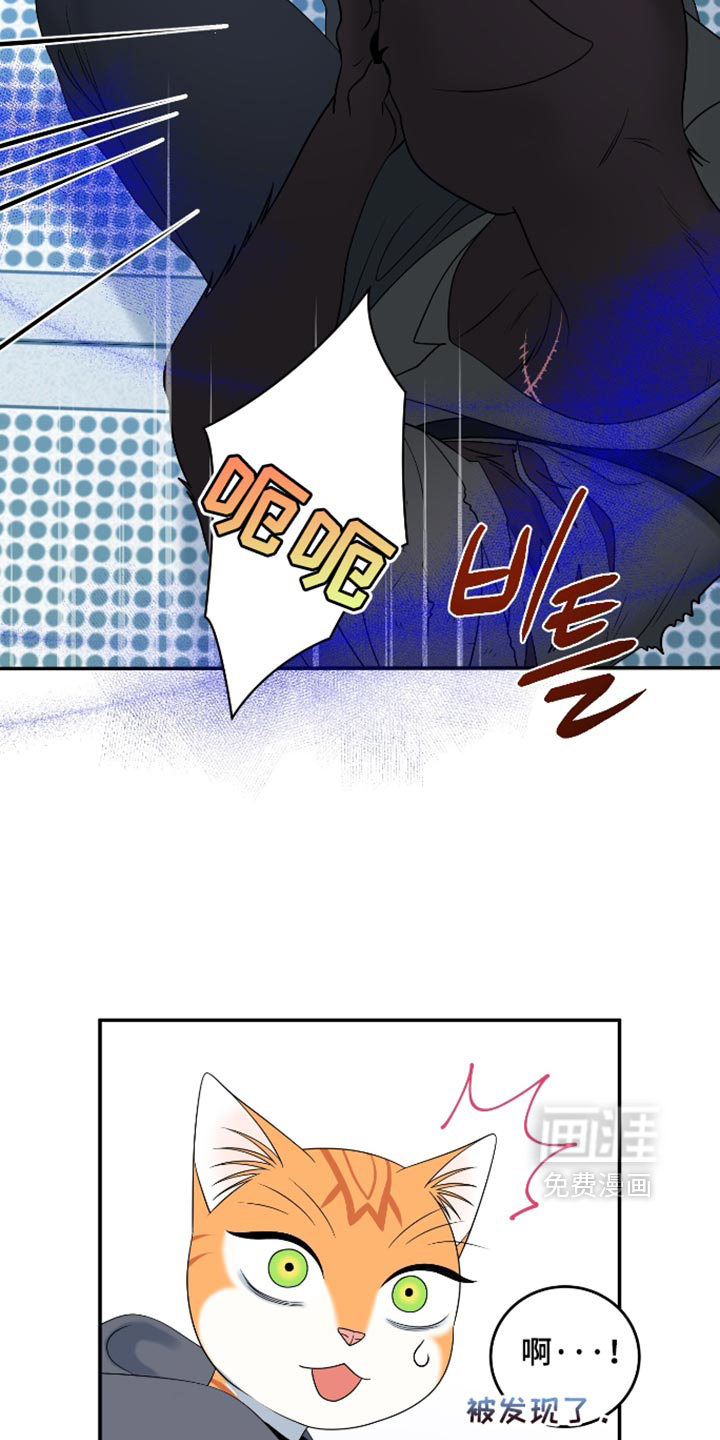 第208话6