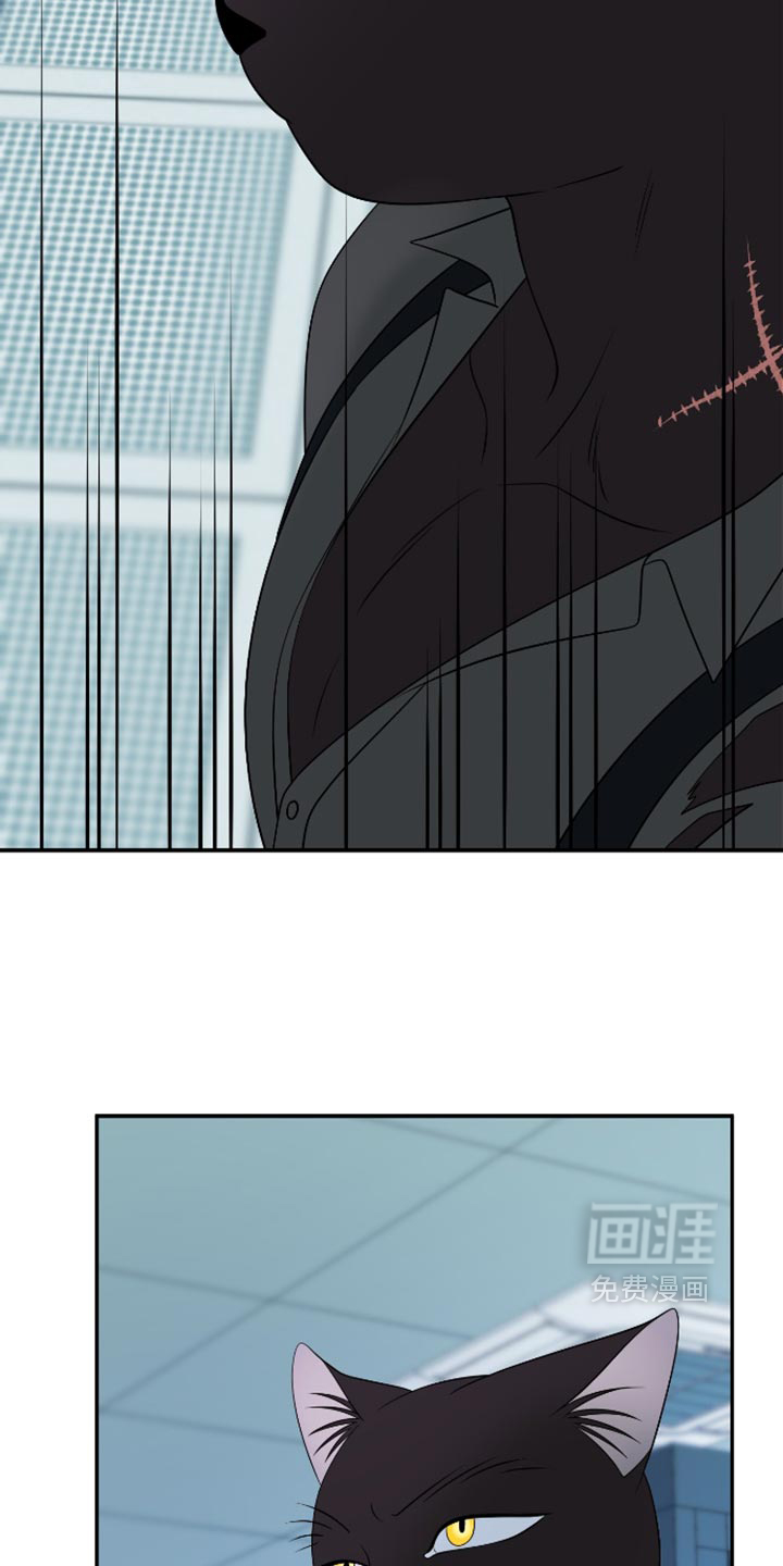 第207话30