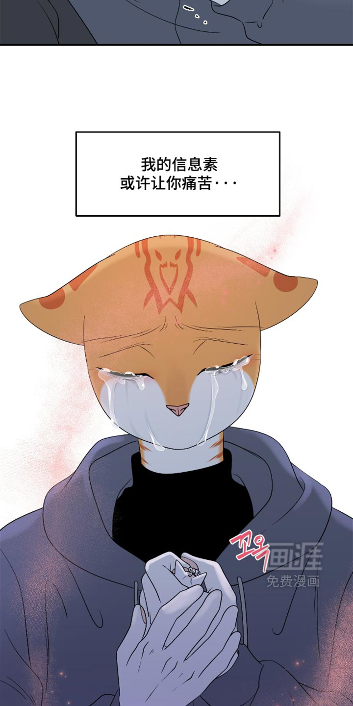 第207话17