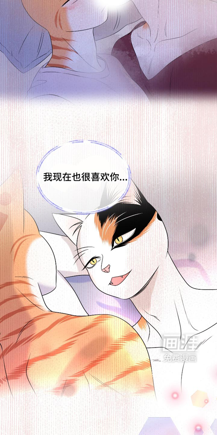 第207话6
