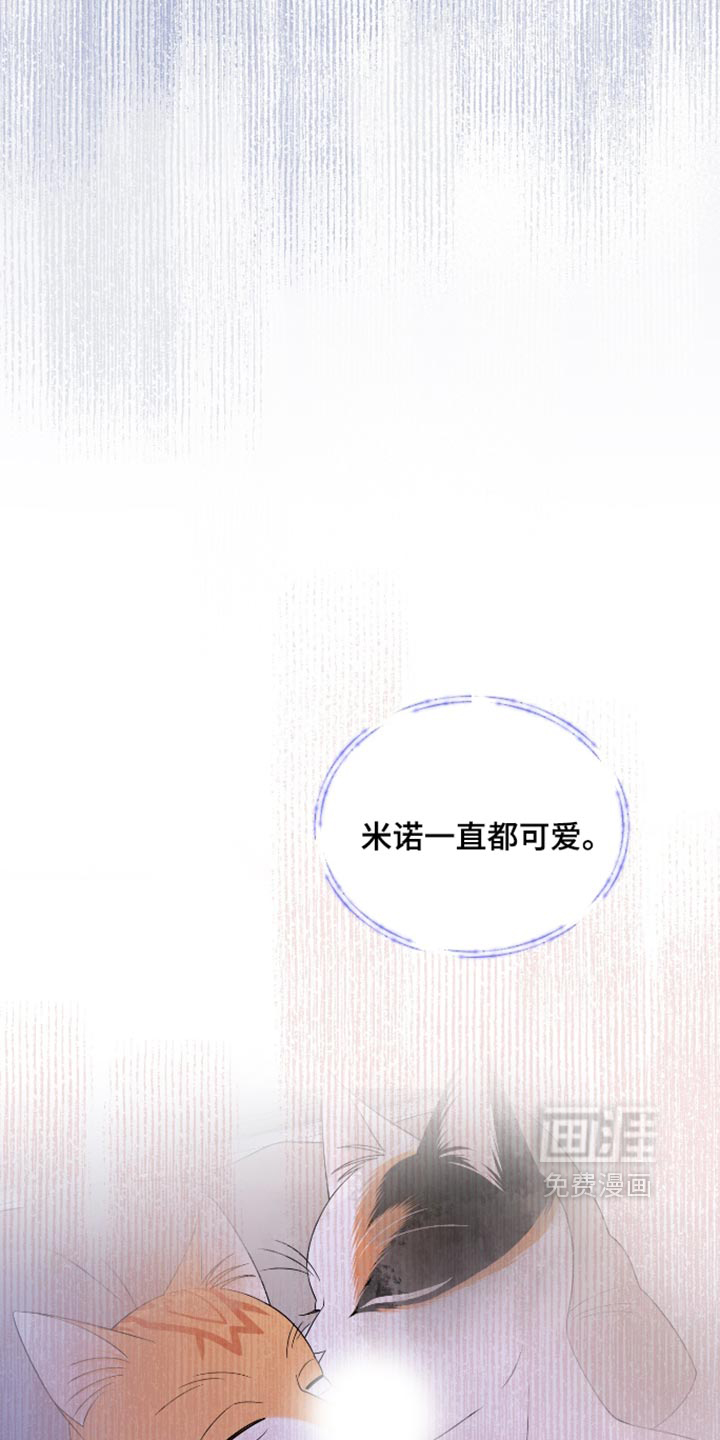 第207话5