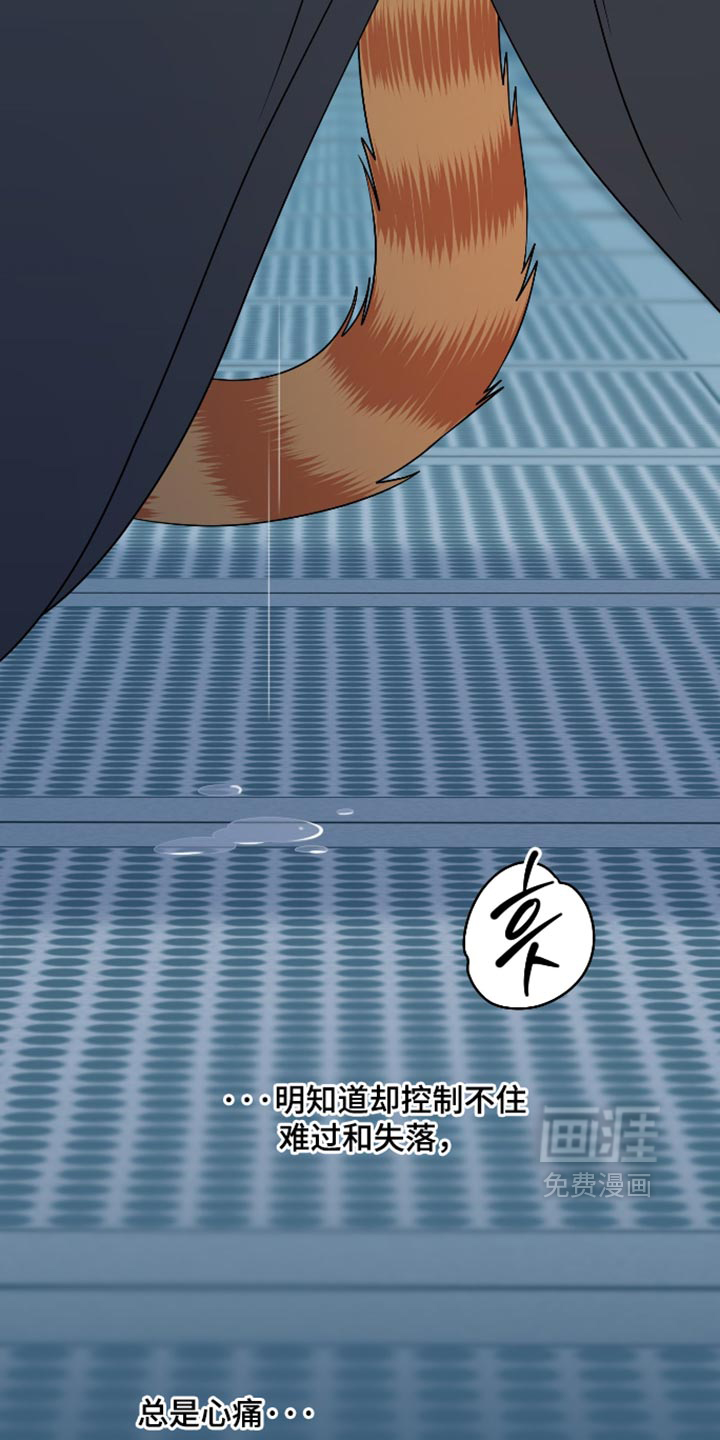 第207话11