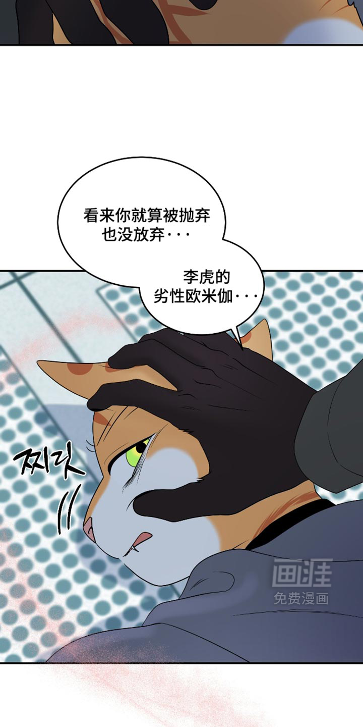 第207话36