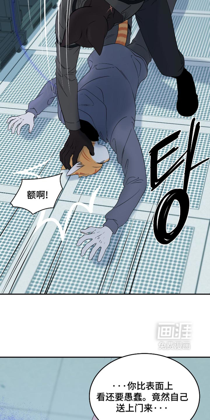 第207话34