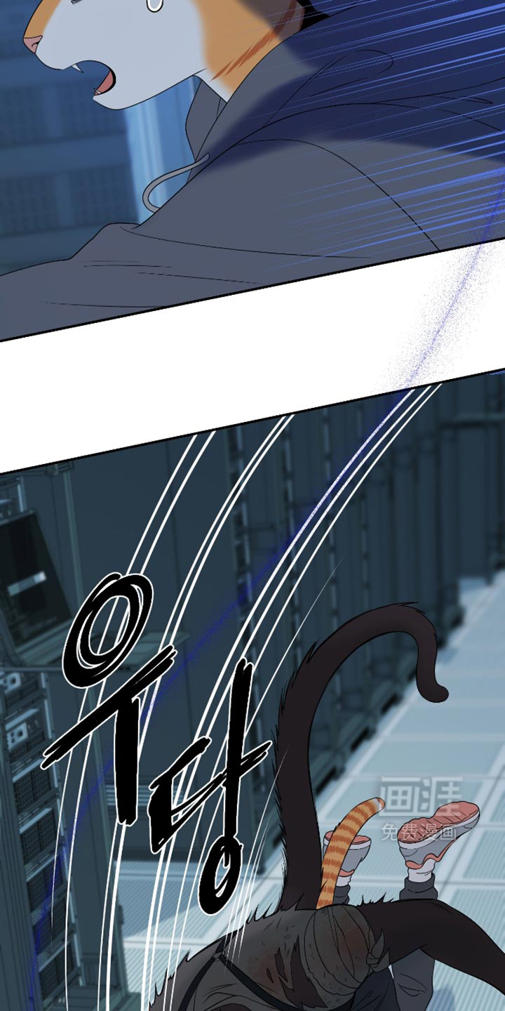 第207话33