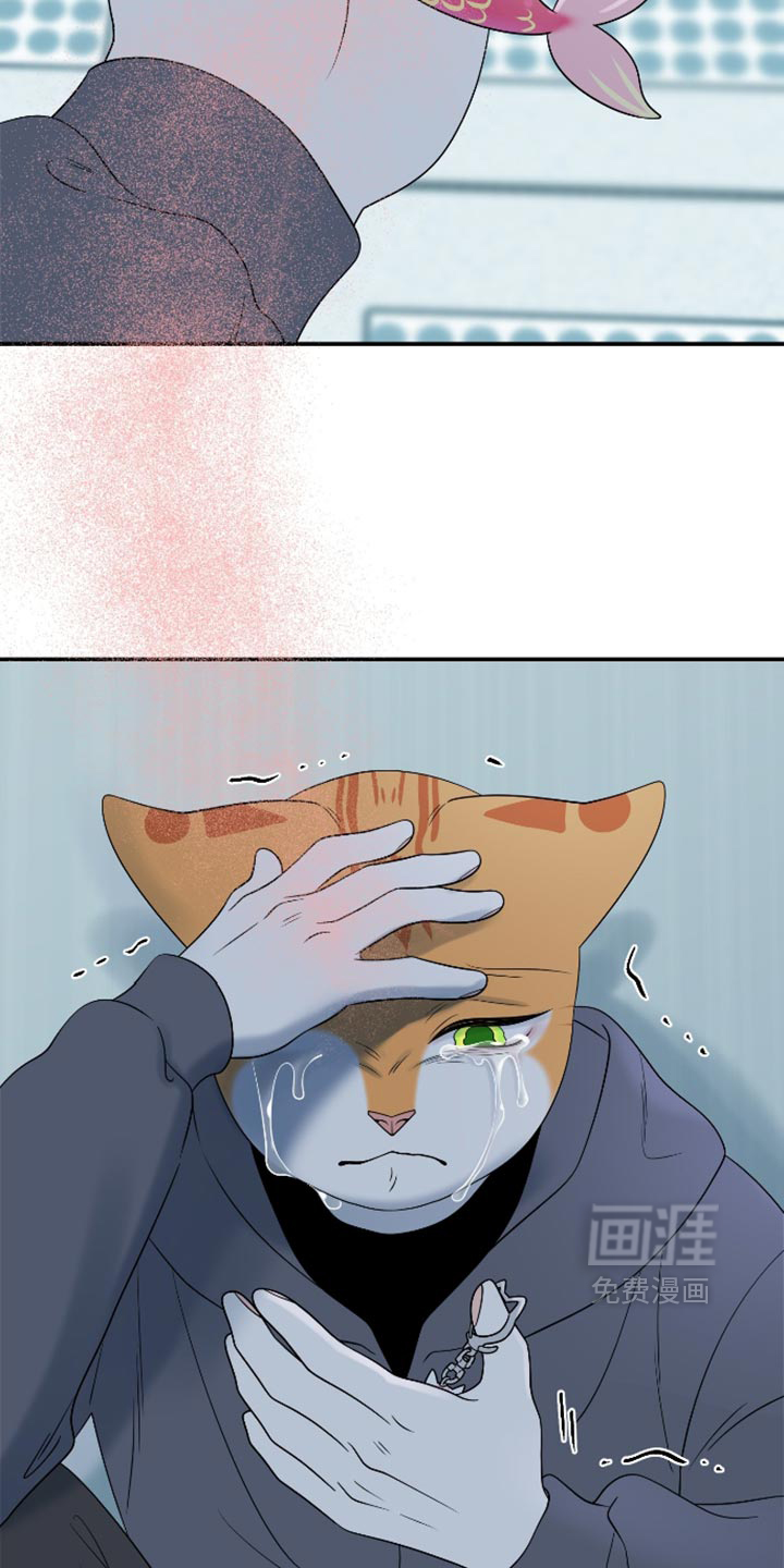 第207话16