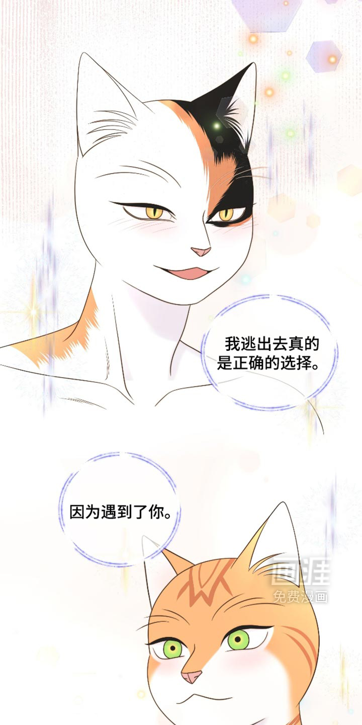 第207话7