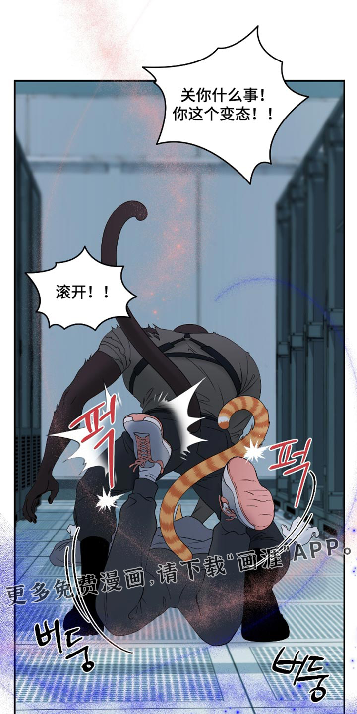 第207话40