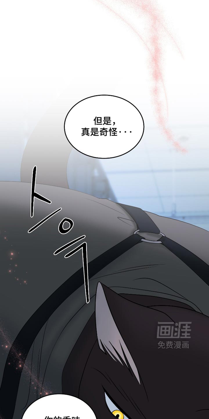 第207话37