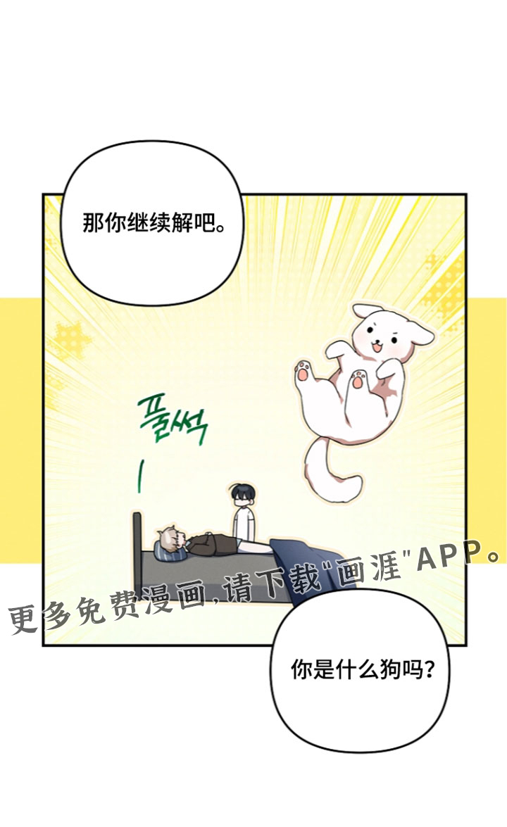 第116话 第36页
