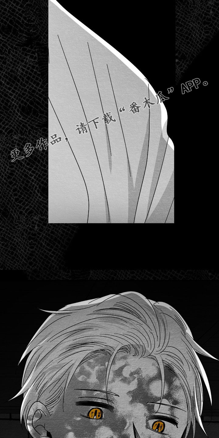 第169话1