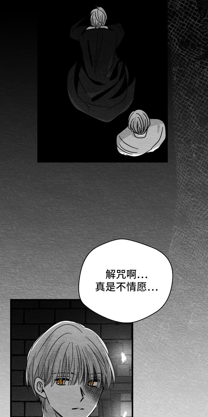 第168话6