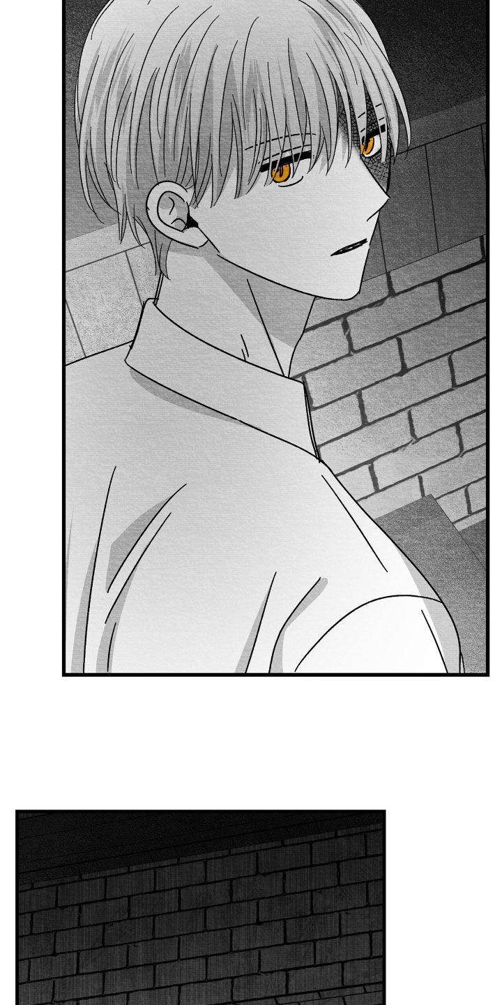 第167话21