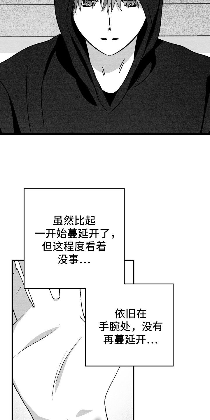 第167话6