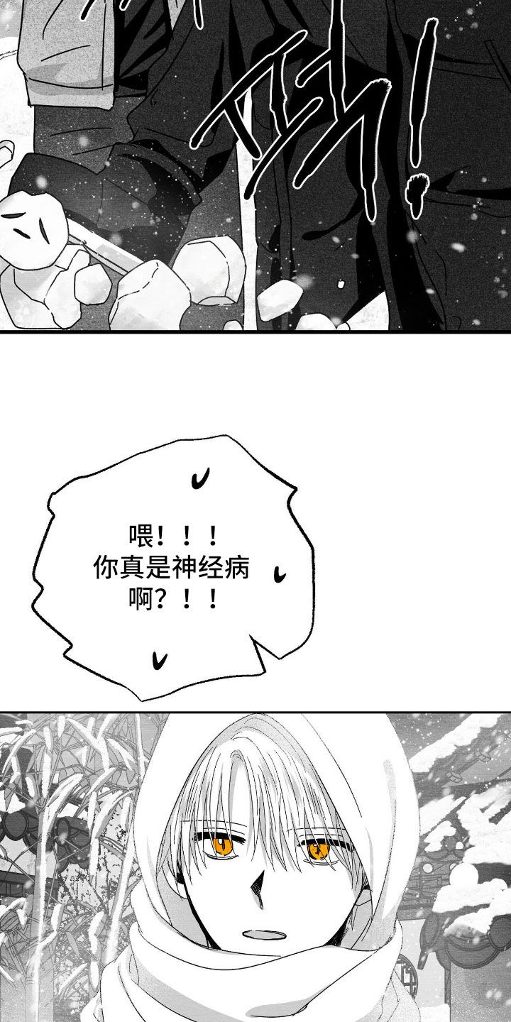 第166话12