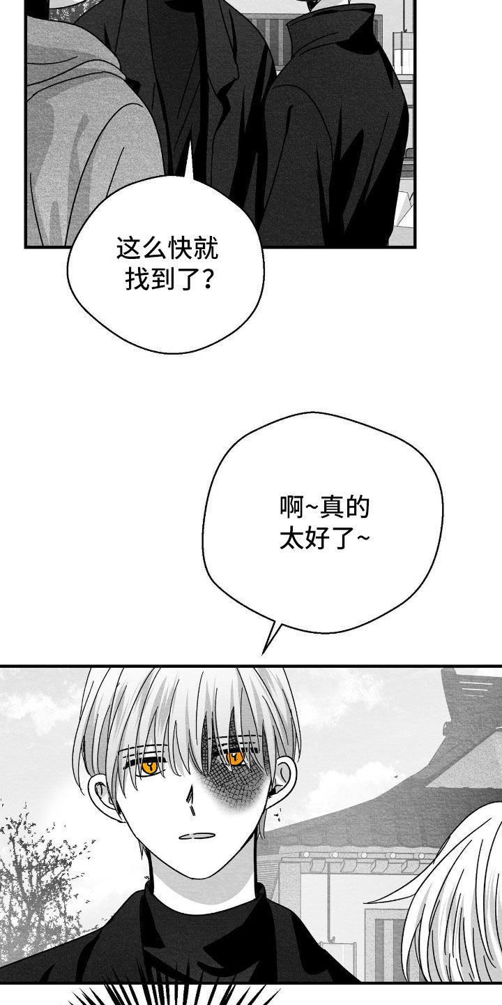 第164话17