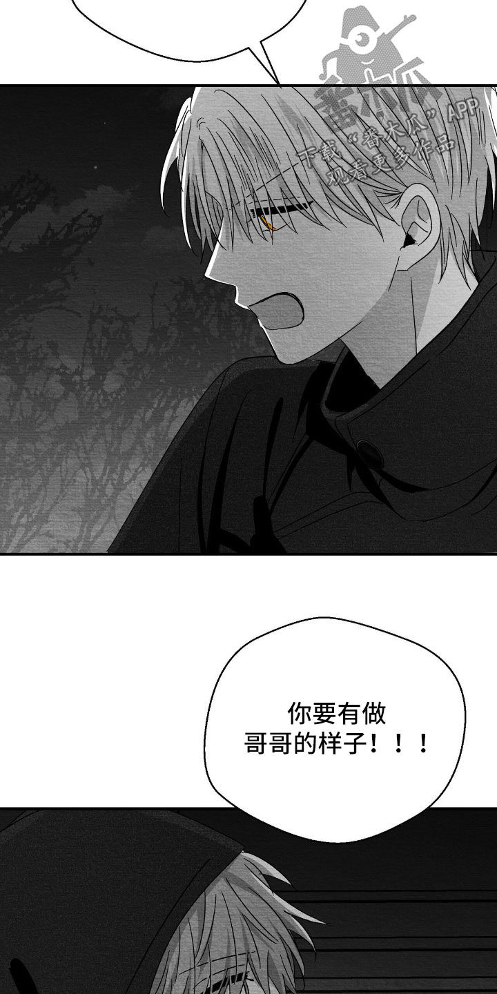 第161话5