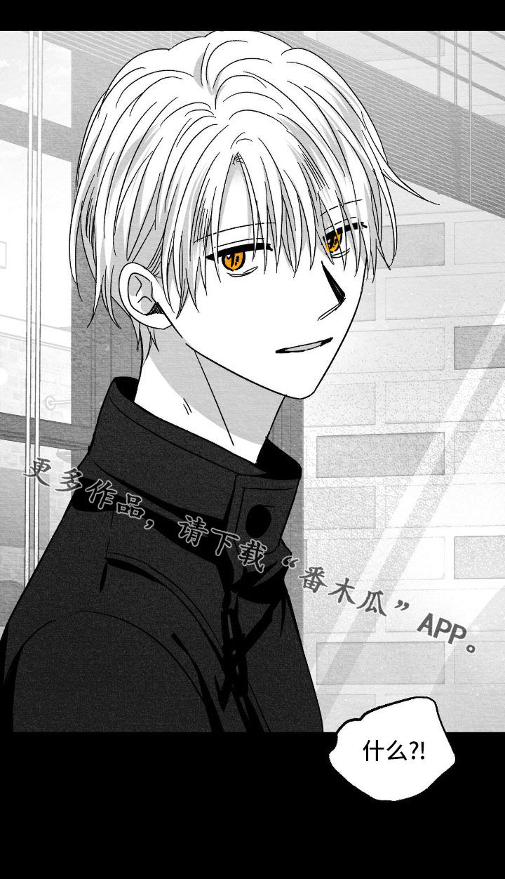 第155话31