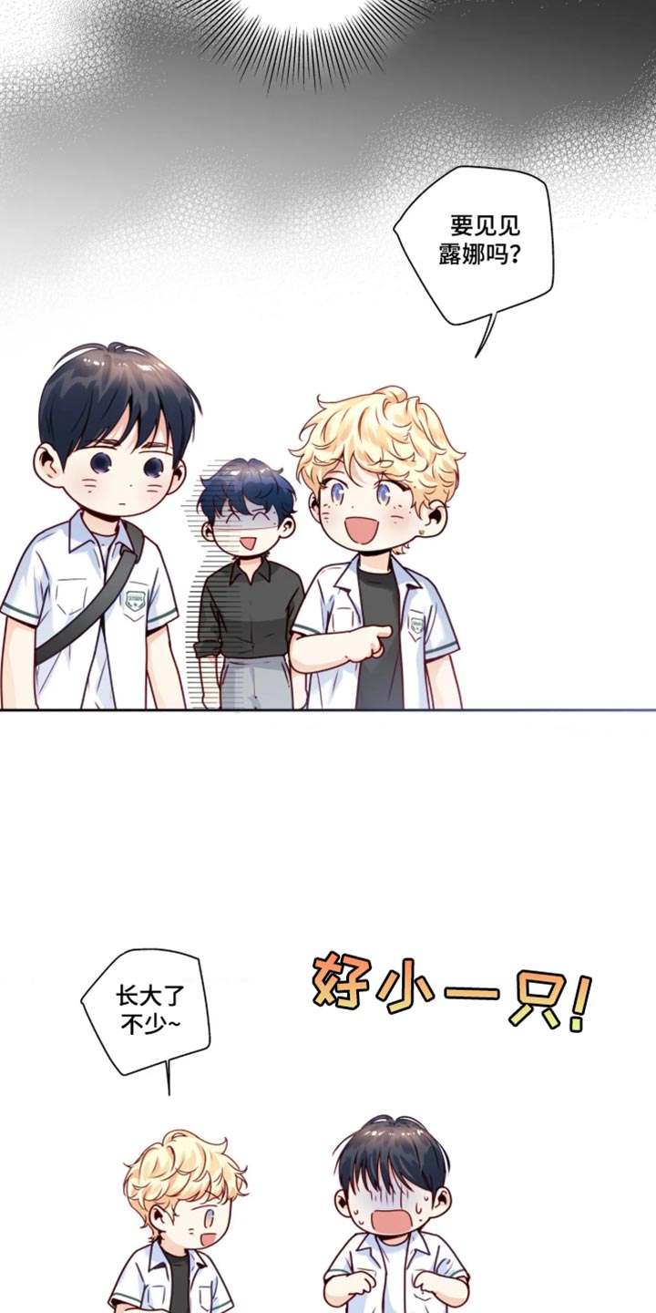 第97话17