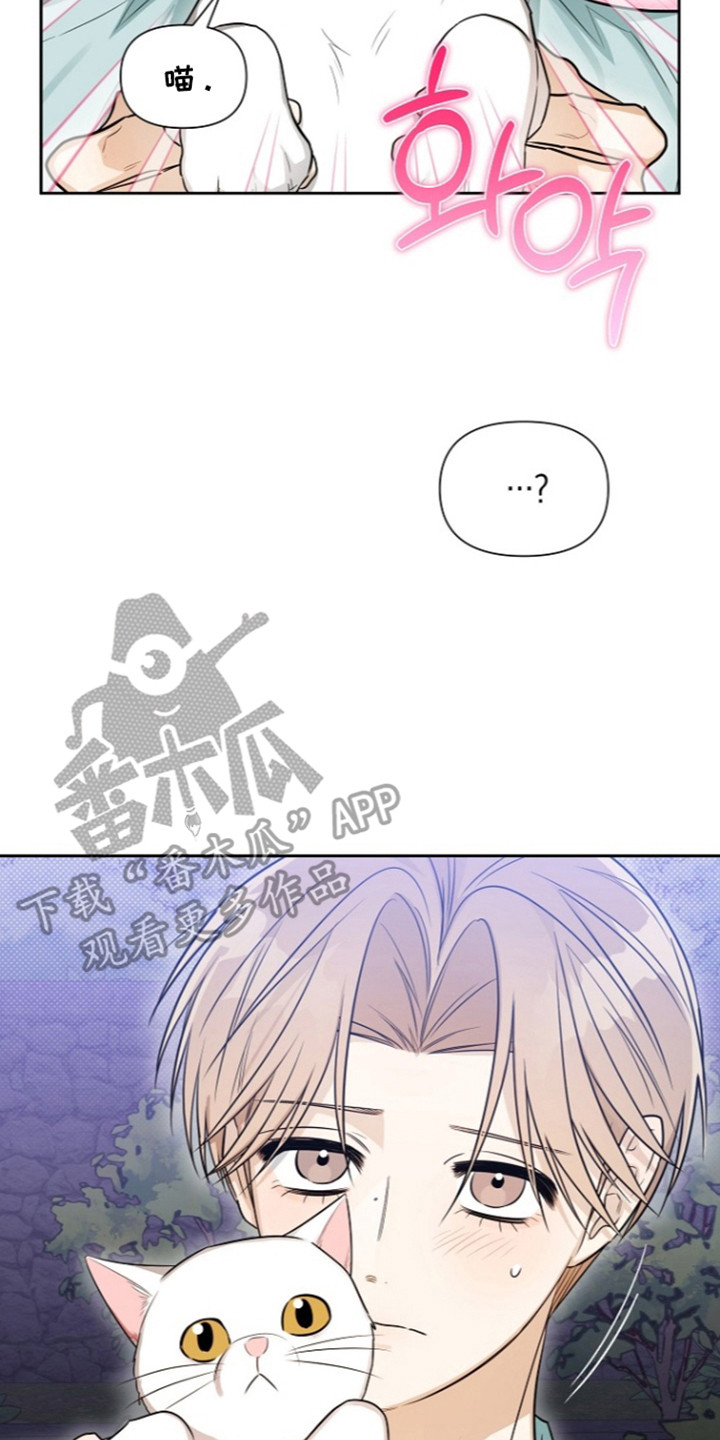 第27话17