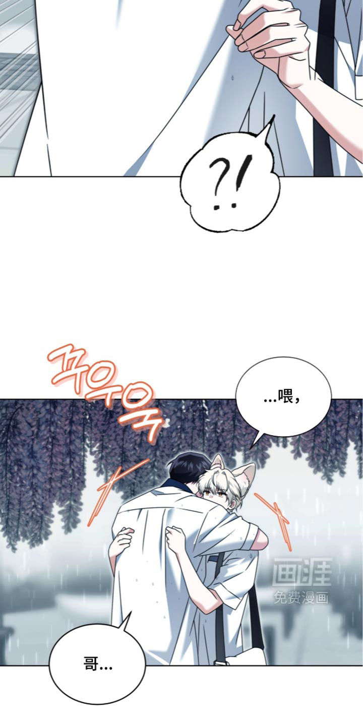 第136话14