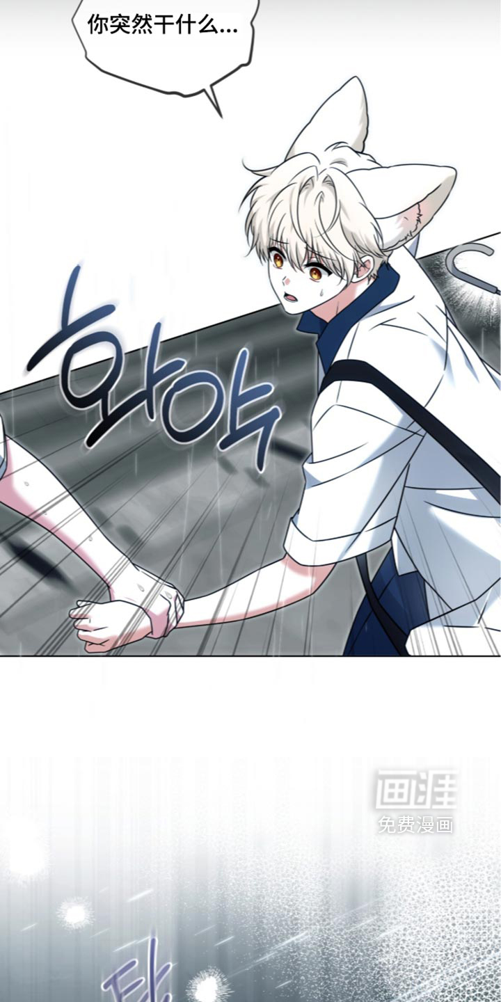 第136话5