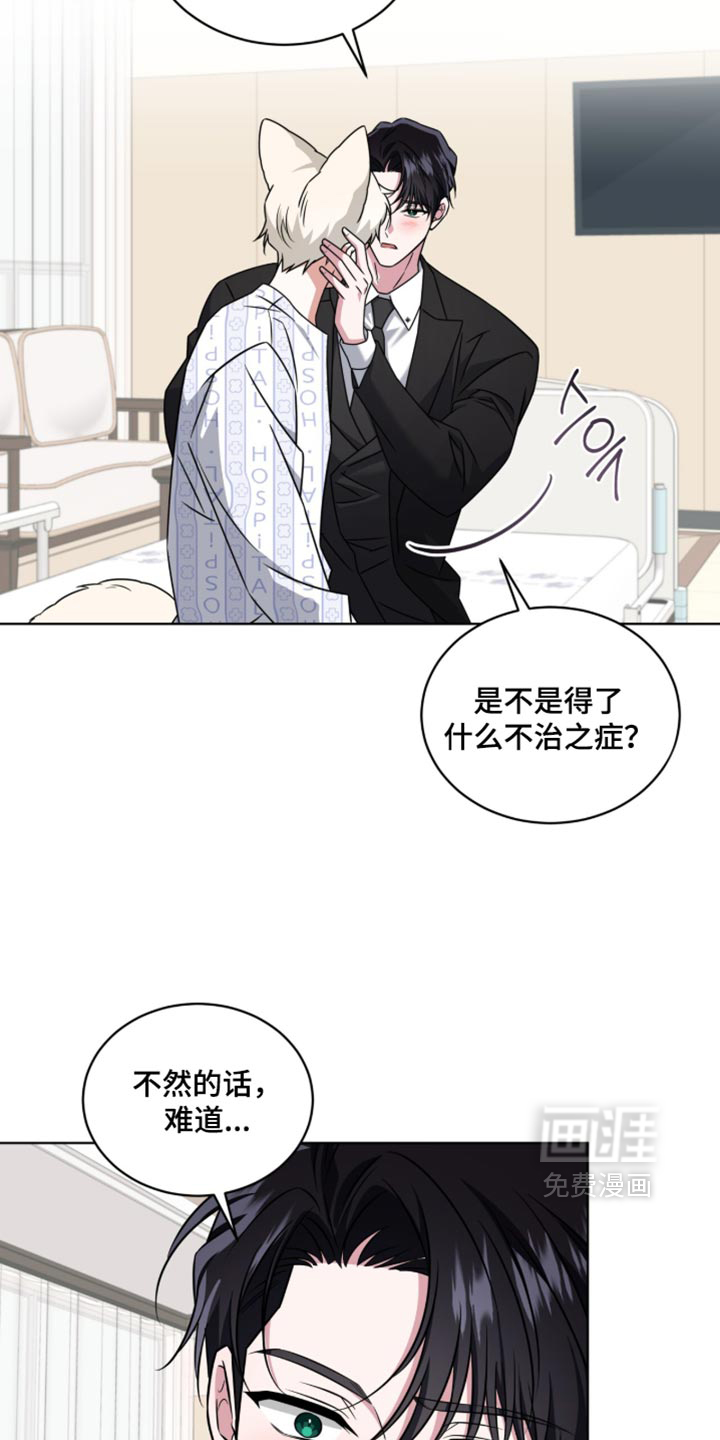 第129话12