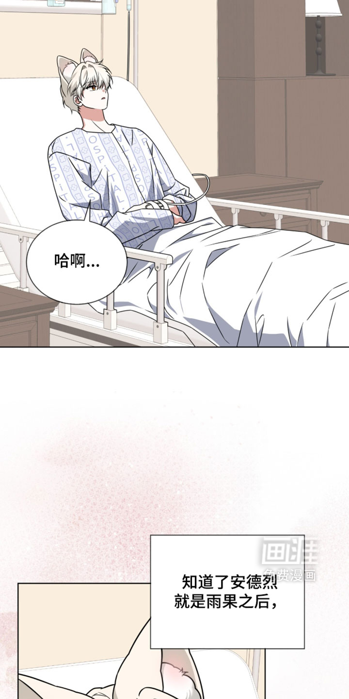 第126话24