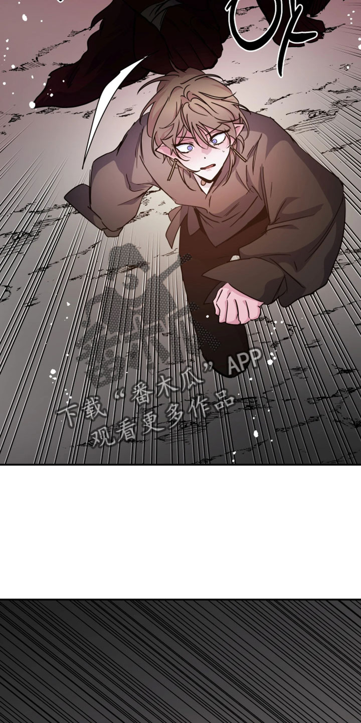 第146话15
