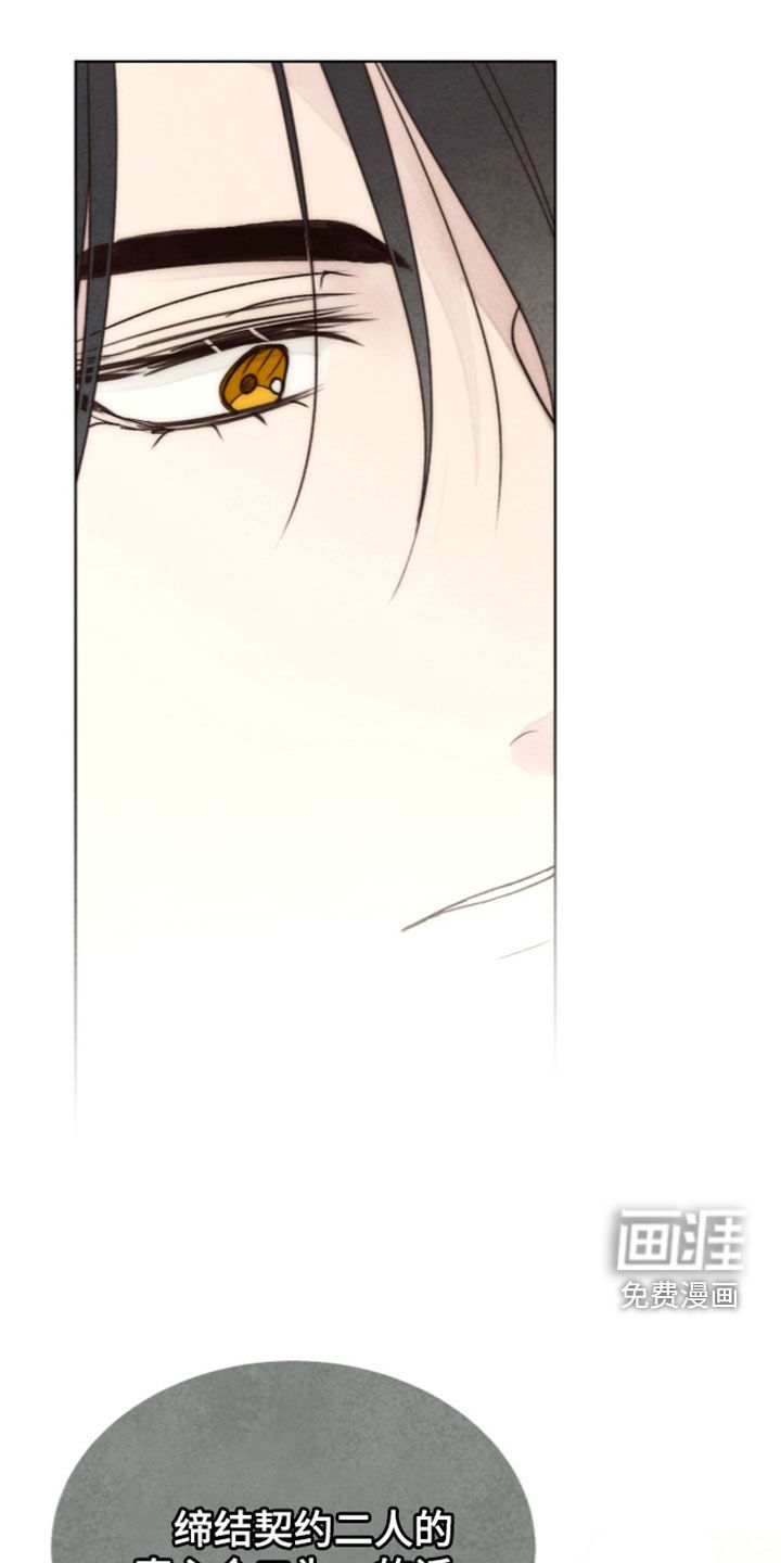 第46话 第31页