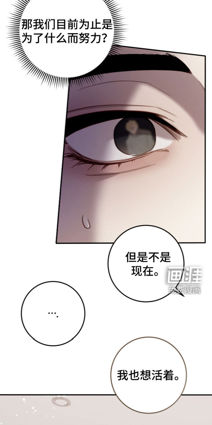 第110话13