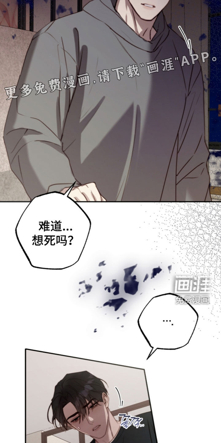 第110话6
