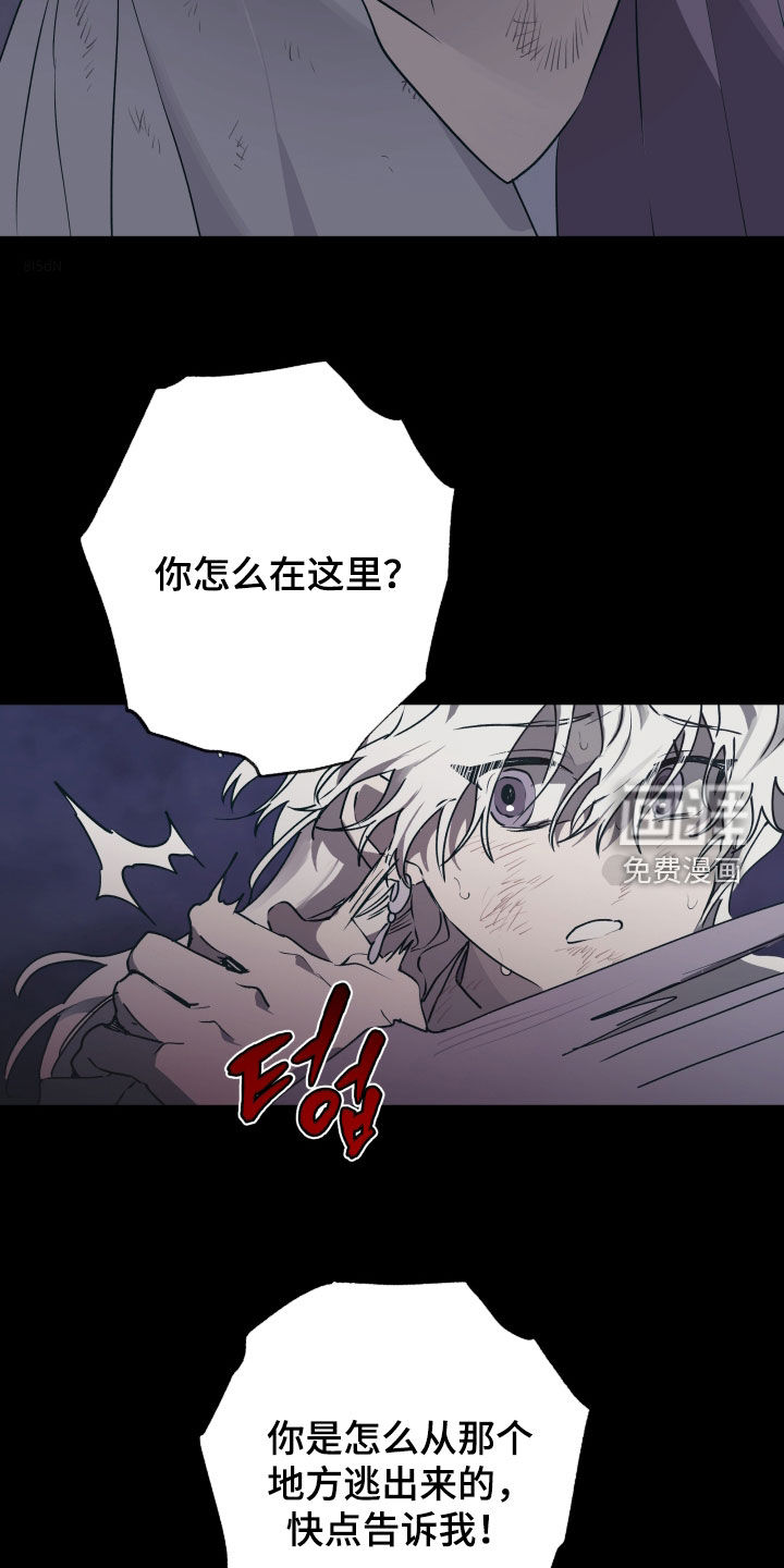 第75话1